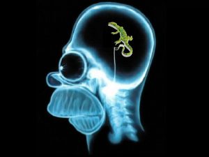 Homer Simpson's lizard brain image (large).